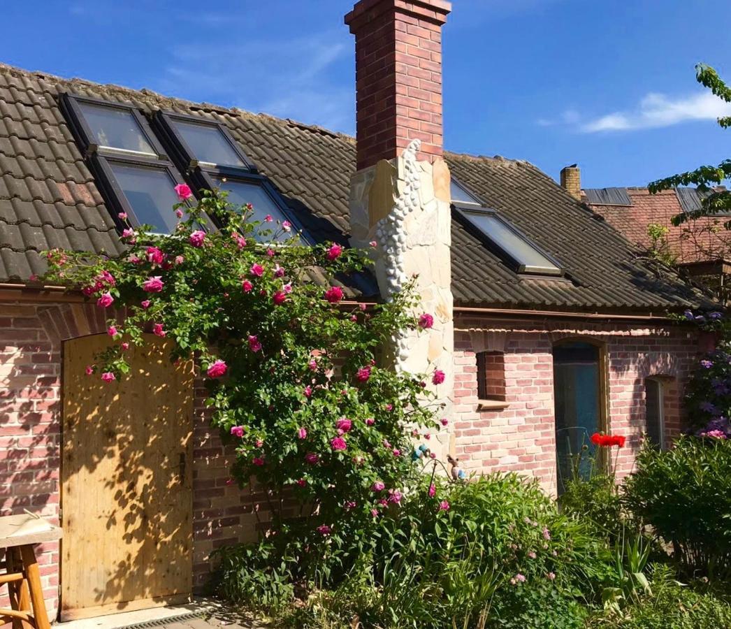 Boutique Hotel Shambala Zeitlos Wiedemar Exteriér fotografie
